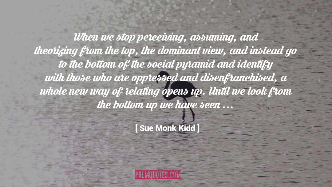 Theorizing quotes by Sue Monk Kidd