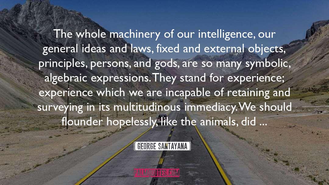 Theory Of Consciousness quotes by George Santayana