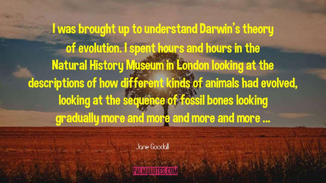 Theory Of Evolution quotes by Jane Goodall