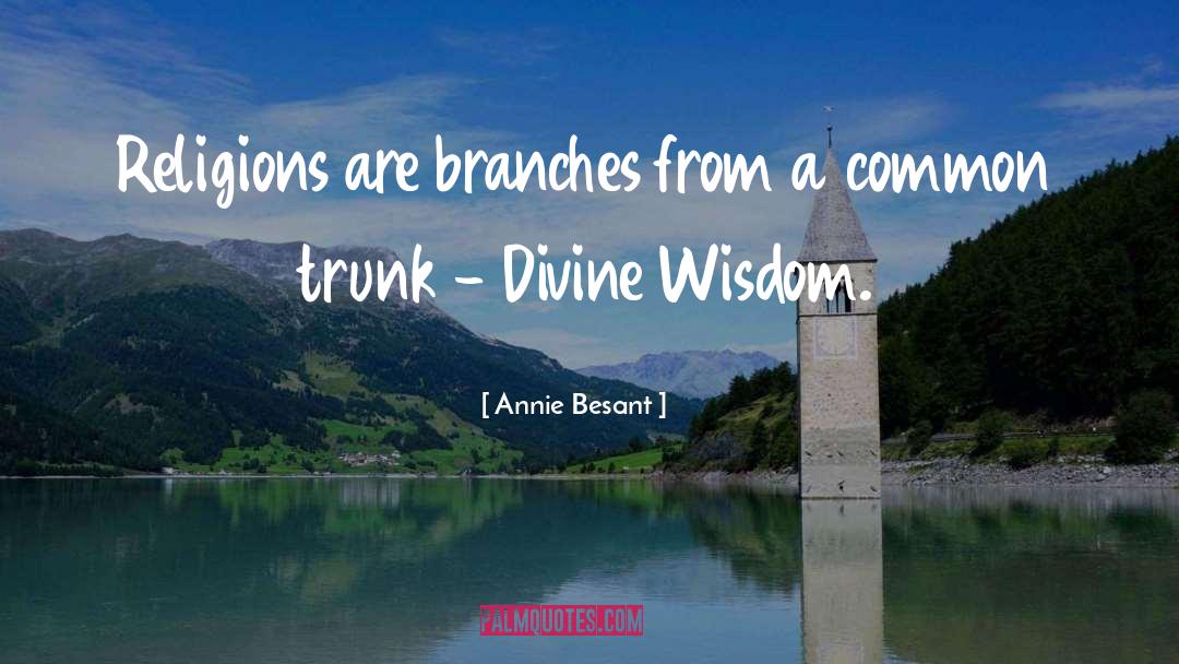 Theosophy quotes by Annie Besant