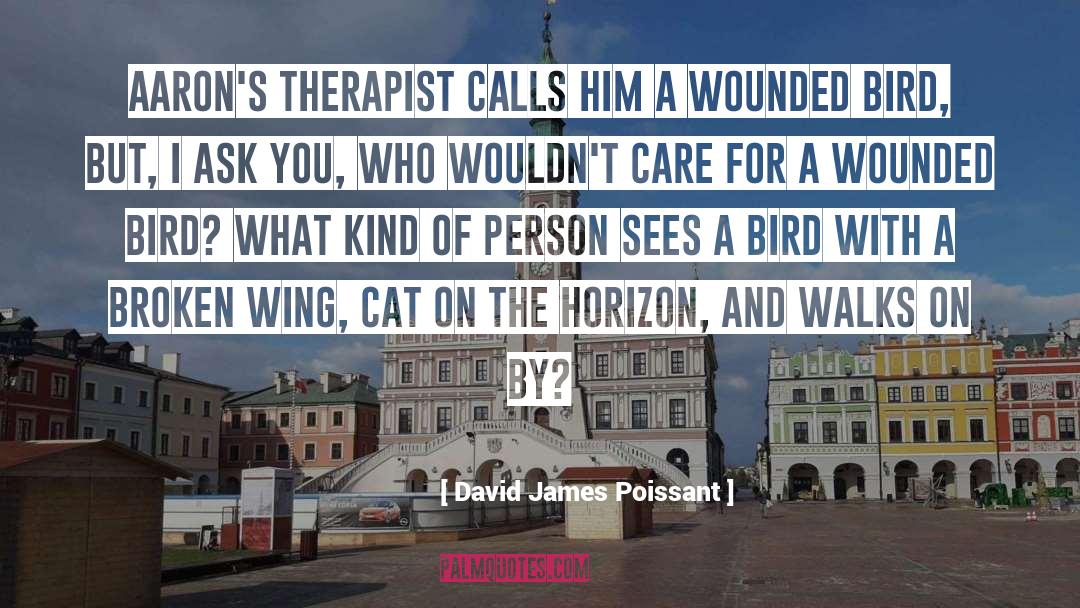 Therapist quotes by David James Poissant