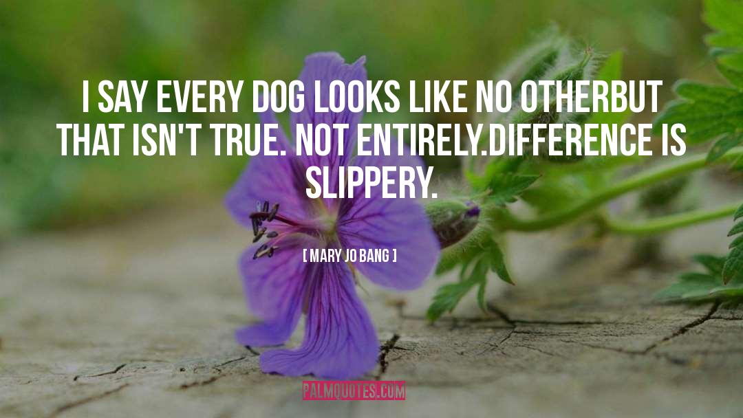 Therapy Dogs quotes by Mary Jo Bang