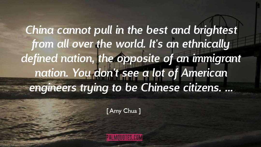 There Is A Lot Of Ruin In A Nation Quote quotes by Amy Chua