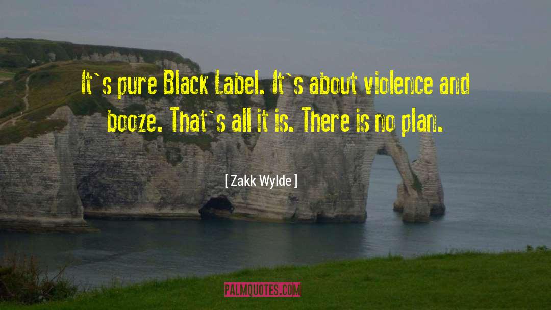There Is No Plan quotes by Zakk Wylde
