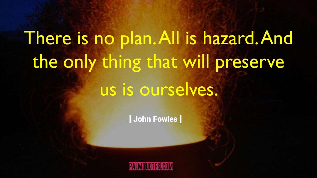 There Is No Plan quotes by John Fowles