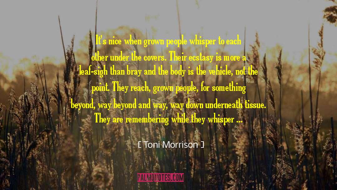 There Is No Point In Trying quotes by Toni Morrison