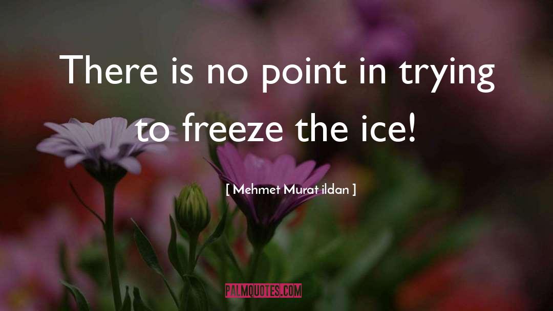 There Is No Point In Trying quotes by Mehmet Murat Ildan