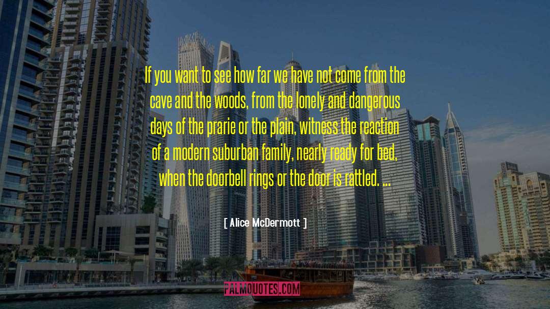 Thermiotis Family quotes by Alice McDermott