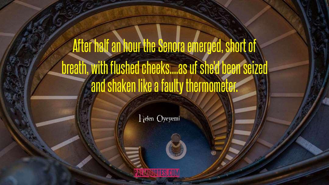 Thermometer quotes by Helen Oyeyemi