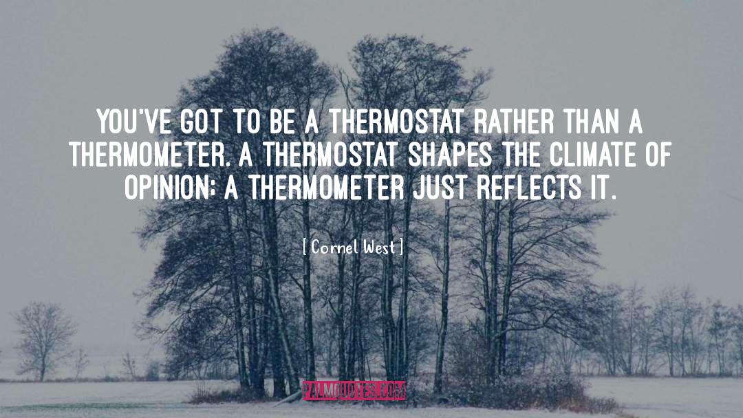 Thermometer quotes by Cornel West