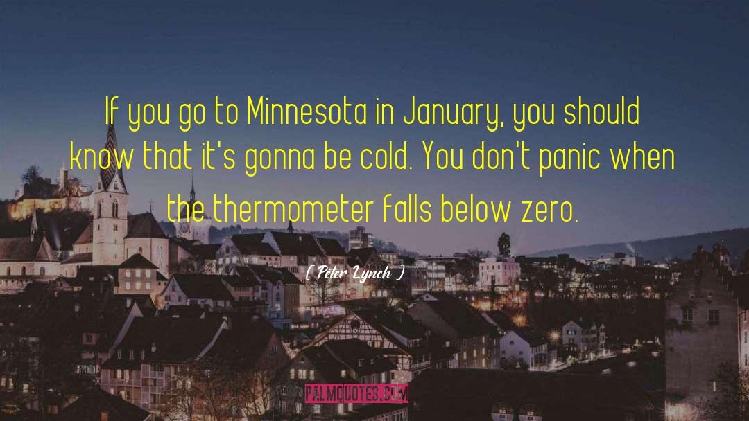 Thermometers quotes by Peter Lynch