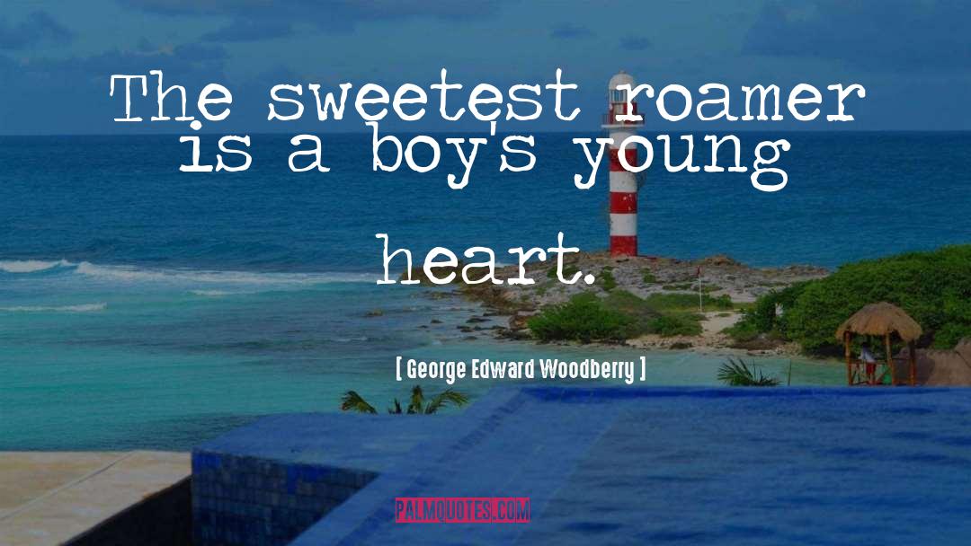 These Boys quotes by George Edward Woodberry