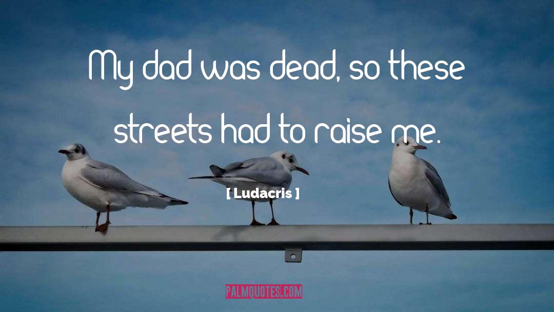 These Streets quotes by Ludacris