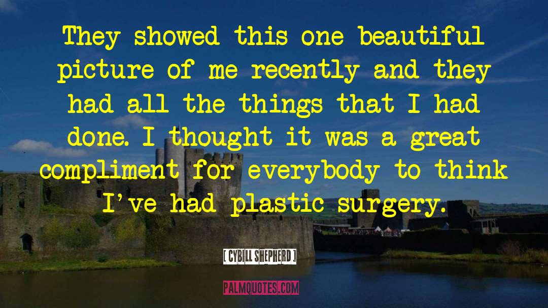 Thesiger Plastic Surgery quotes by Cybill Shepherd