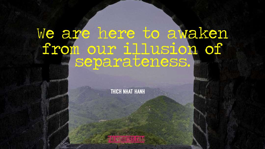Thich Nan Hahn quotes by Thich Nhat Hanh