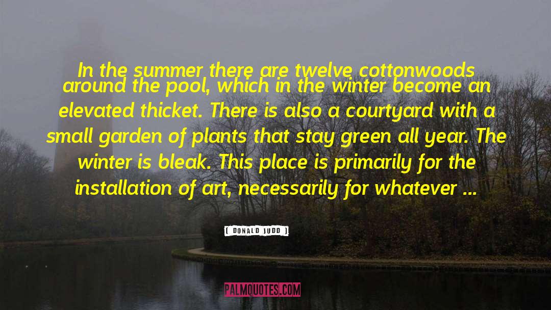 Thickets quotes by Donald Judd