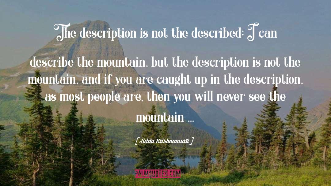 Thickety Mountain quotes by Jiddu Krishnamurti