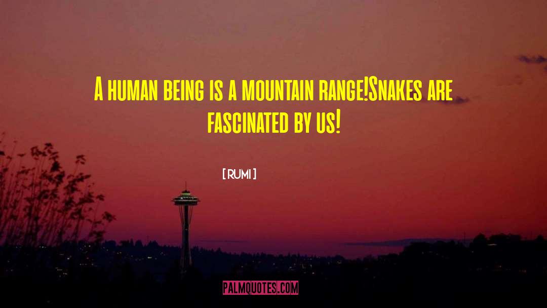 Thickety Mountain quotes by Rumi