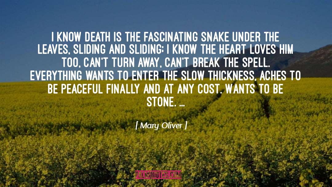Thickness quotes by Mary Oliver