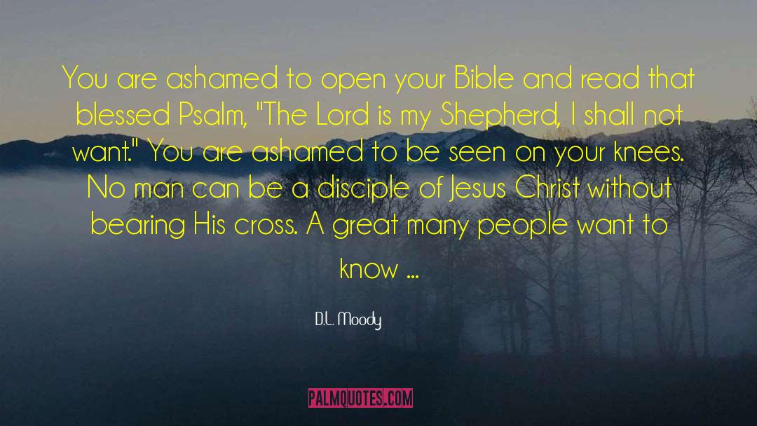 Thief On The Cross quotes by D.L. Moody