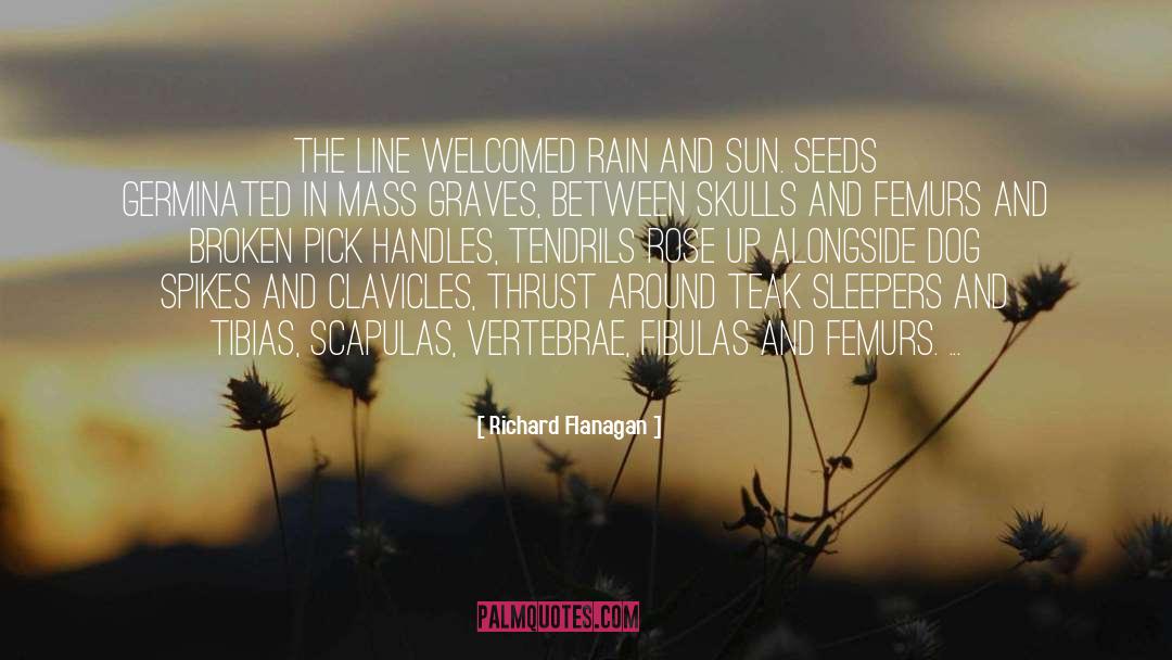 Thin Line Between Life And Death quotes by Richard Flanagan