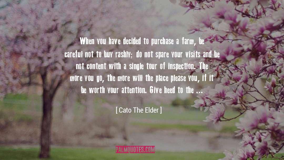 Thin Place quotes by Cato The Elder