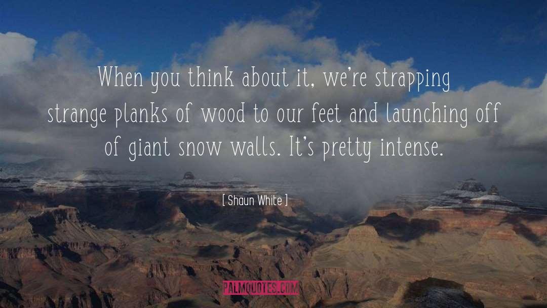 Thin Wood Walls quotes by Shaun White