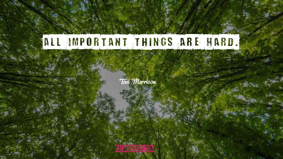 Things Are Hard quotes by Toni Morrison