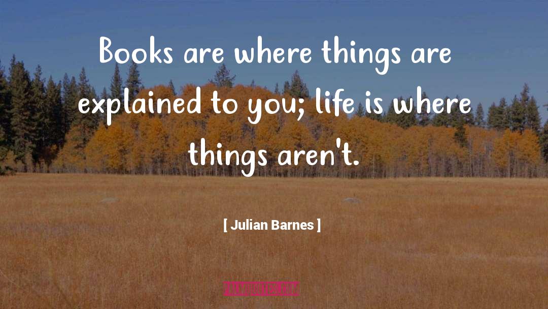 Things Are Hard quotes by Julian Barnes