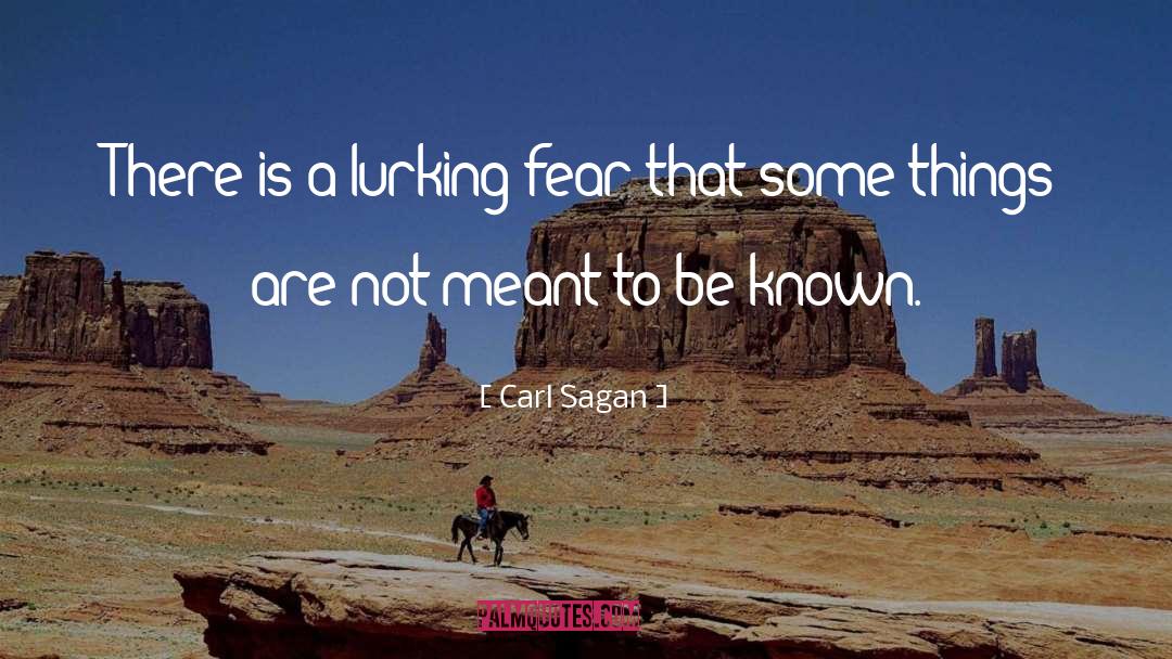 Things Are Meant To Be quotes by Carl Sagan