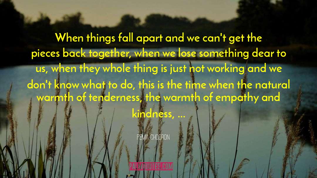 Things Fall Apart quotes by Pema Chodron