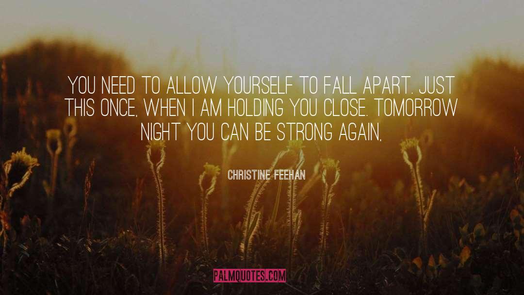 Things Fall Apart quotes by Christine Feehan