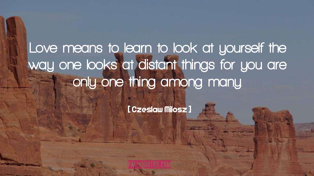 Things For You quotes by Czeslaw Milosz