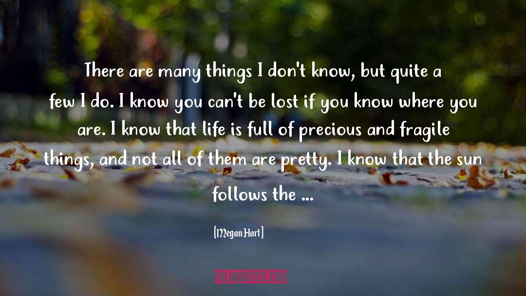 Things I Dont Know quotes by Megan Hart