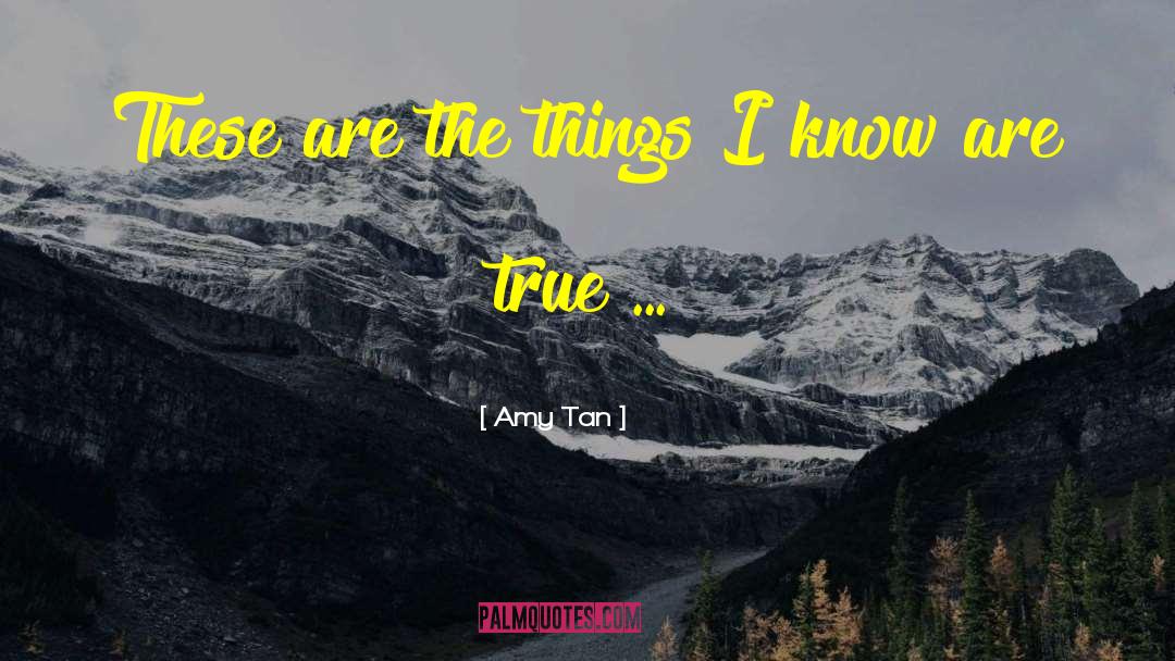 Things I Know quotes by Amy Tan