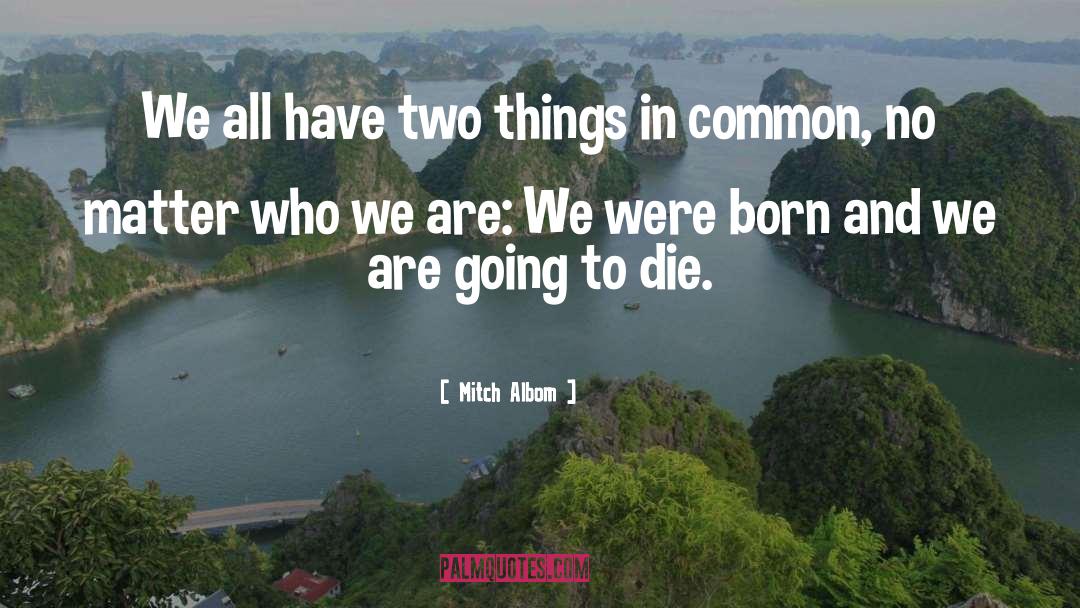 Things In Common quotes by Mitch Albom