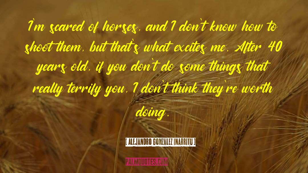 Things Of Old Times quotes by Alejandro Gonzalez Inarritu