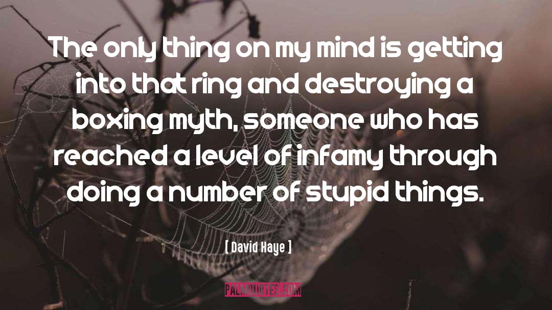 Things On My Mind quotes by David Haye