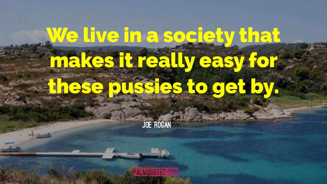 Things To Live By quotes by Joe Rogan