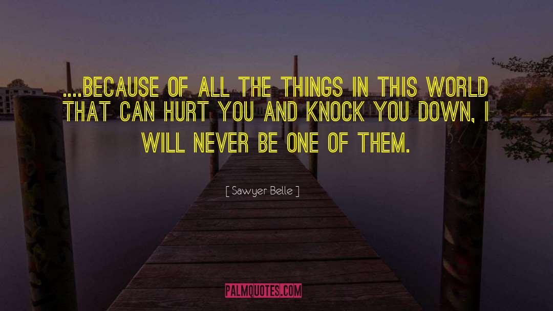 Things Will Never Change quotes by Sawyer Belle
