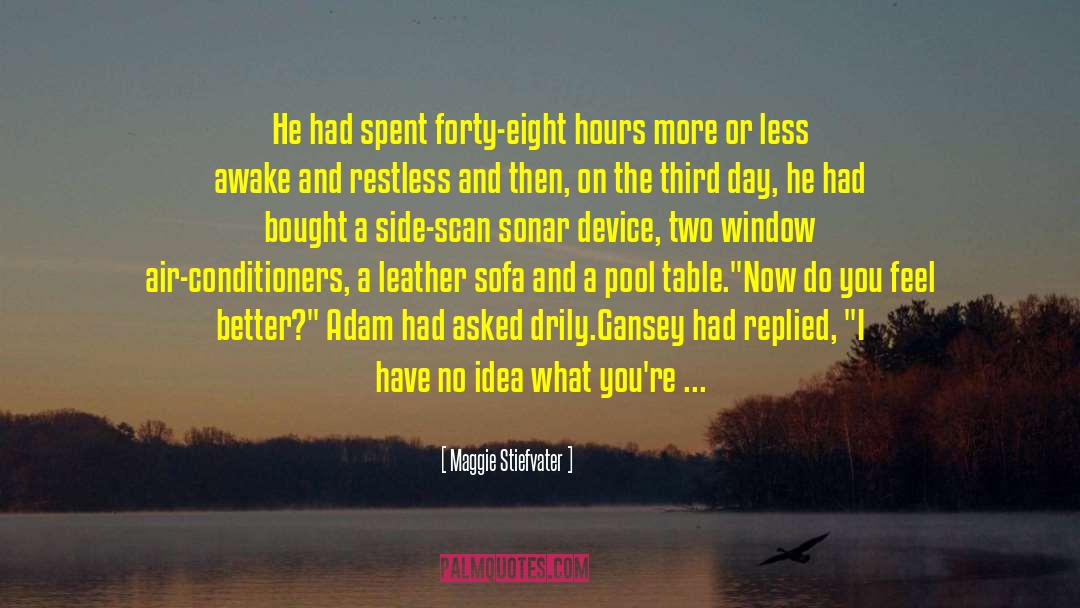 Things With No Value quotes by Maggie Stiefvater