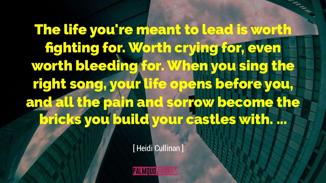 Things Worth Fighting For quotes by Heidi Cullinan