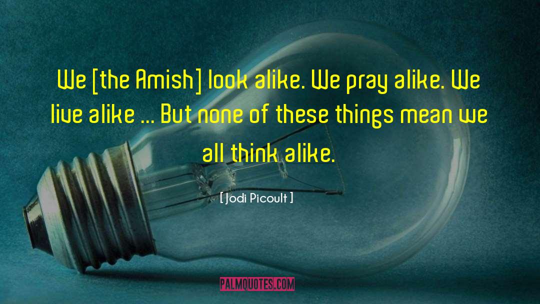 Think Alike quotes by Jodi Picoult