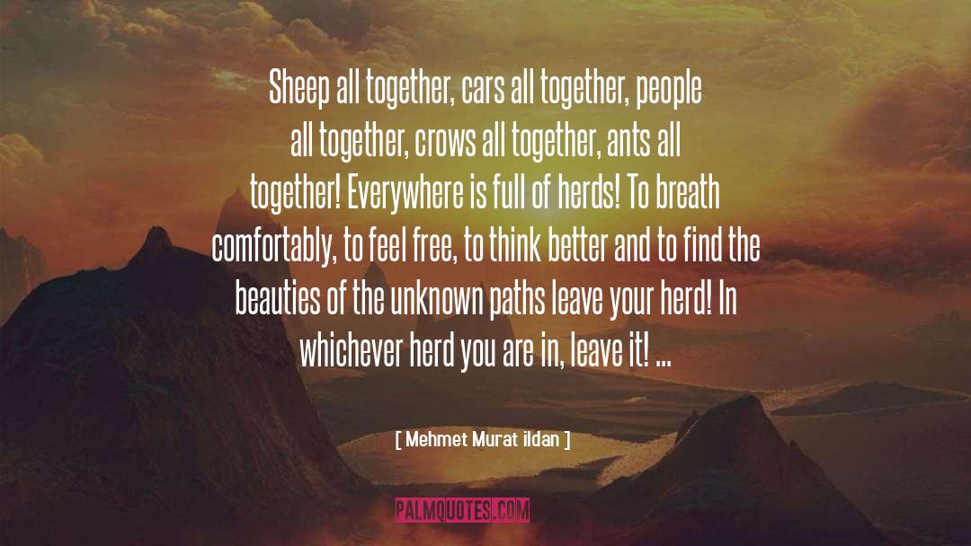 Think Better quotes by Mehmet Murat Ildan
