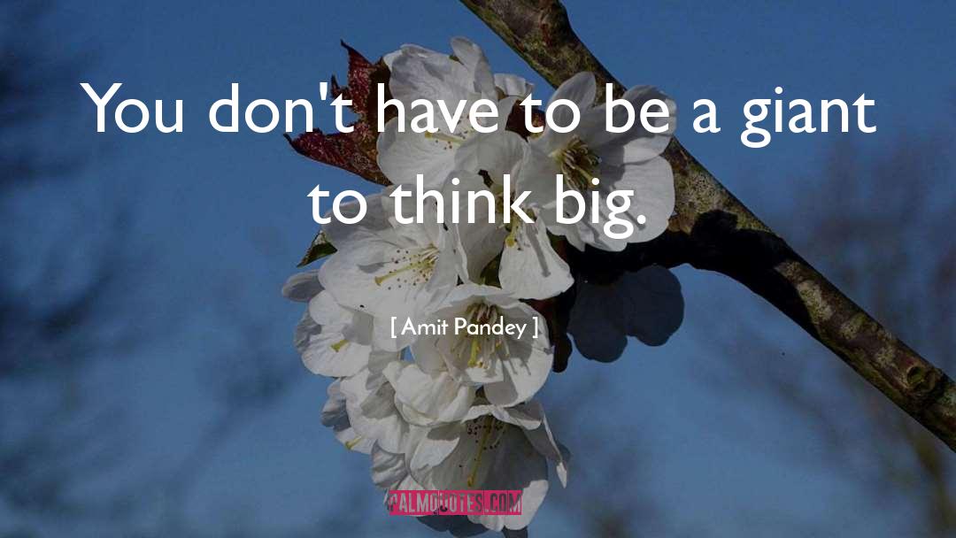 Think Big quotes by Amit Pandey