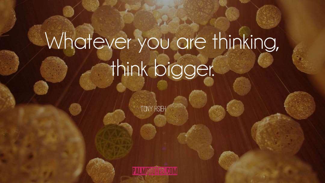 Think Big quotes by Tony Hsieh