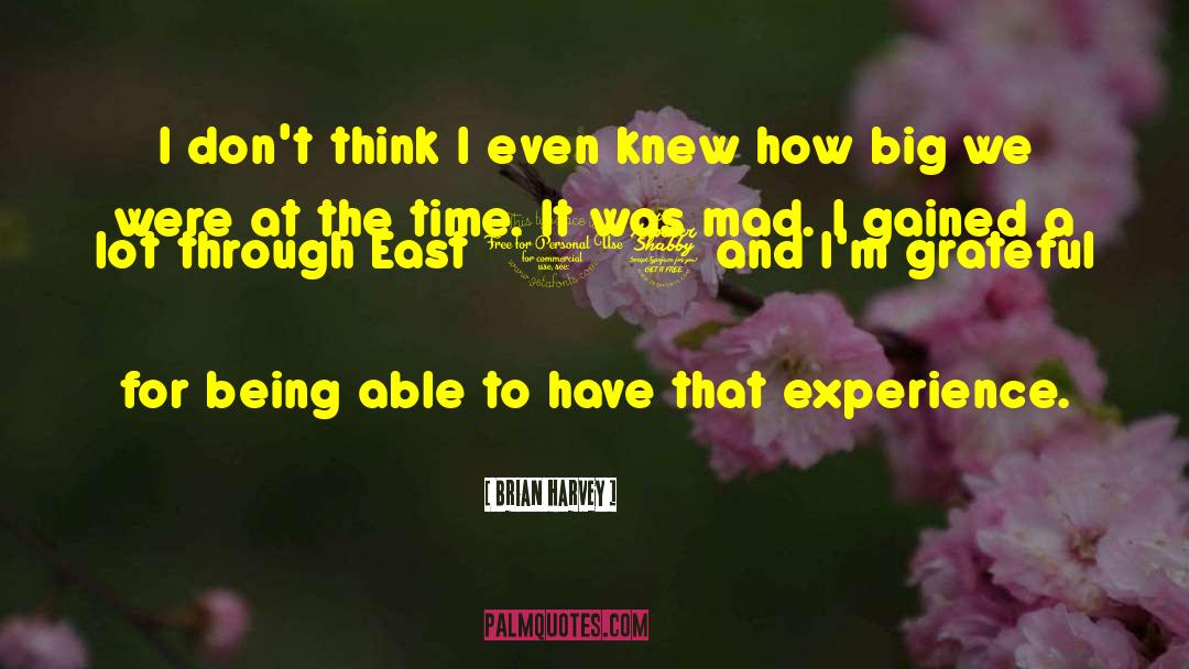 Think Big quotes by Brian Harvey