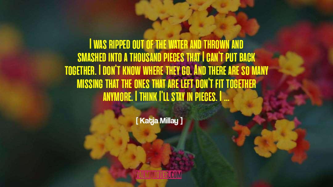 Think Globally quotes by Katja Millay