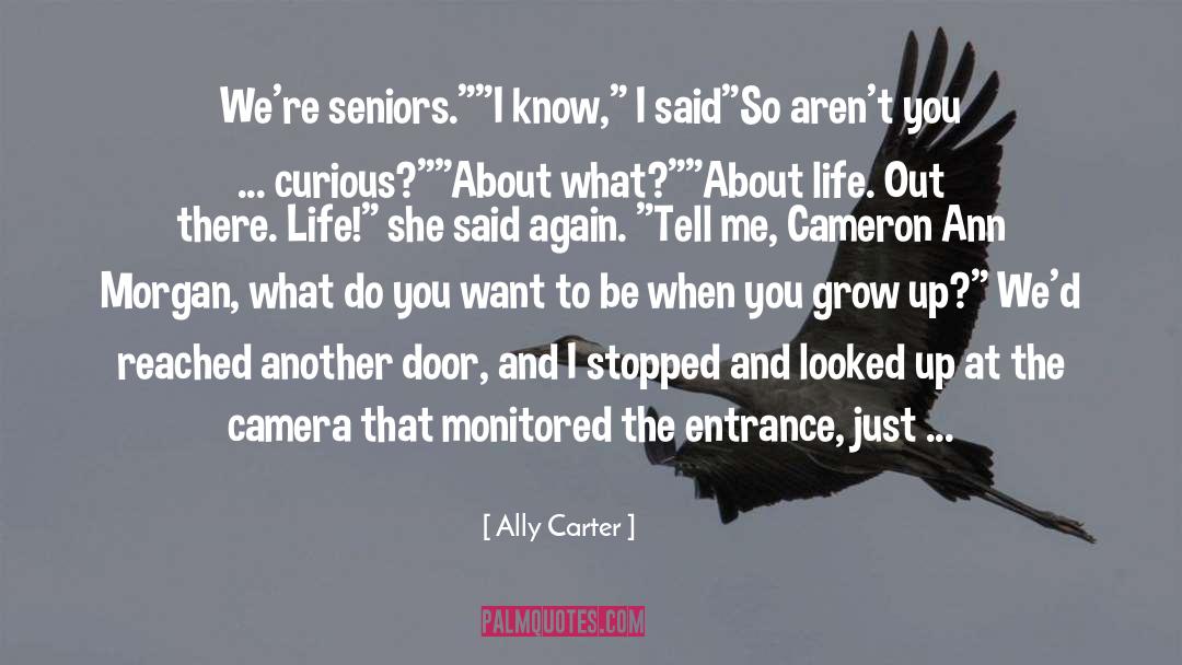 Thinking About Life quotes by Ally Carter