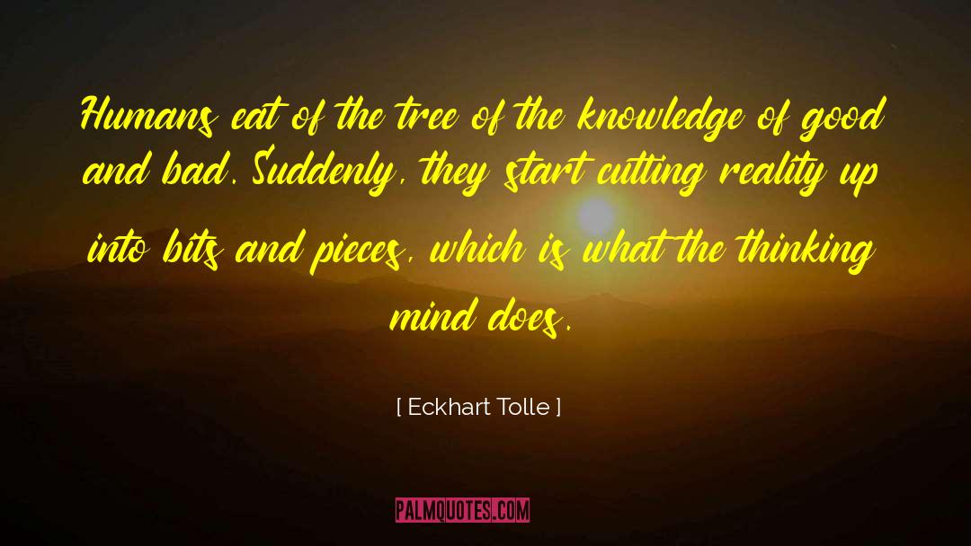 Thinking Mind quotes by Eckhart Tolle